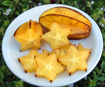 How to grow your own Carambola