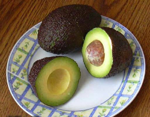 Avocado Hass