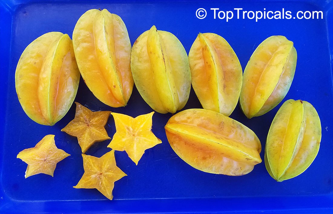 Carambola 