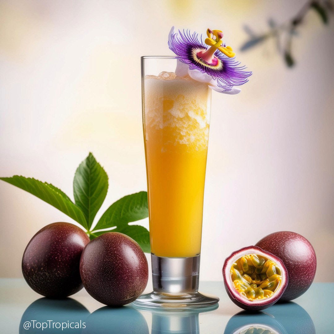 Passion Fruit Champagne Slush 