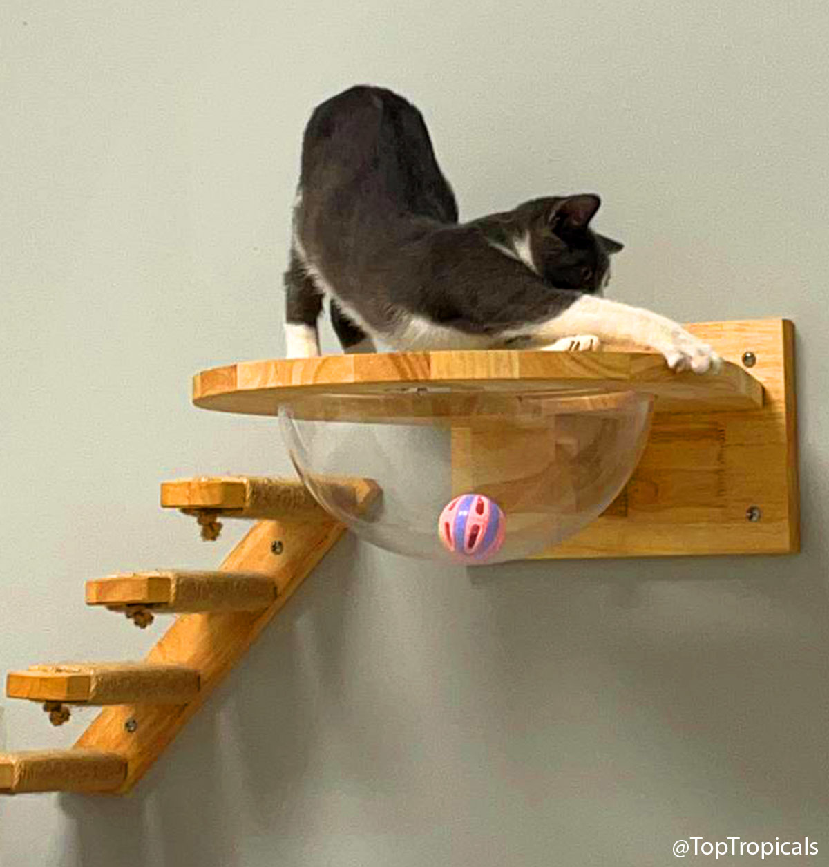 Updates from Mittens Updates from Mittens