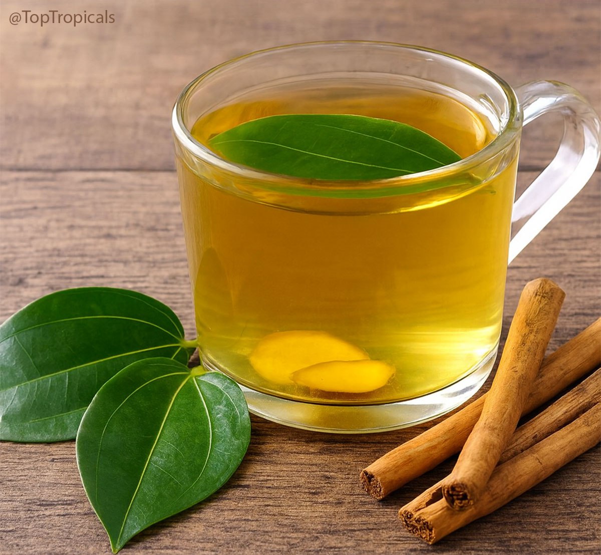 Cinnamon leaf tea: quick-n-fun exotic recipes Cinnamon leaf tea: quick-n-fun exotic recipes