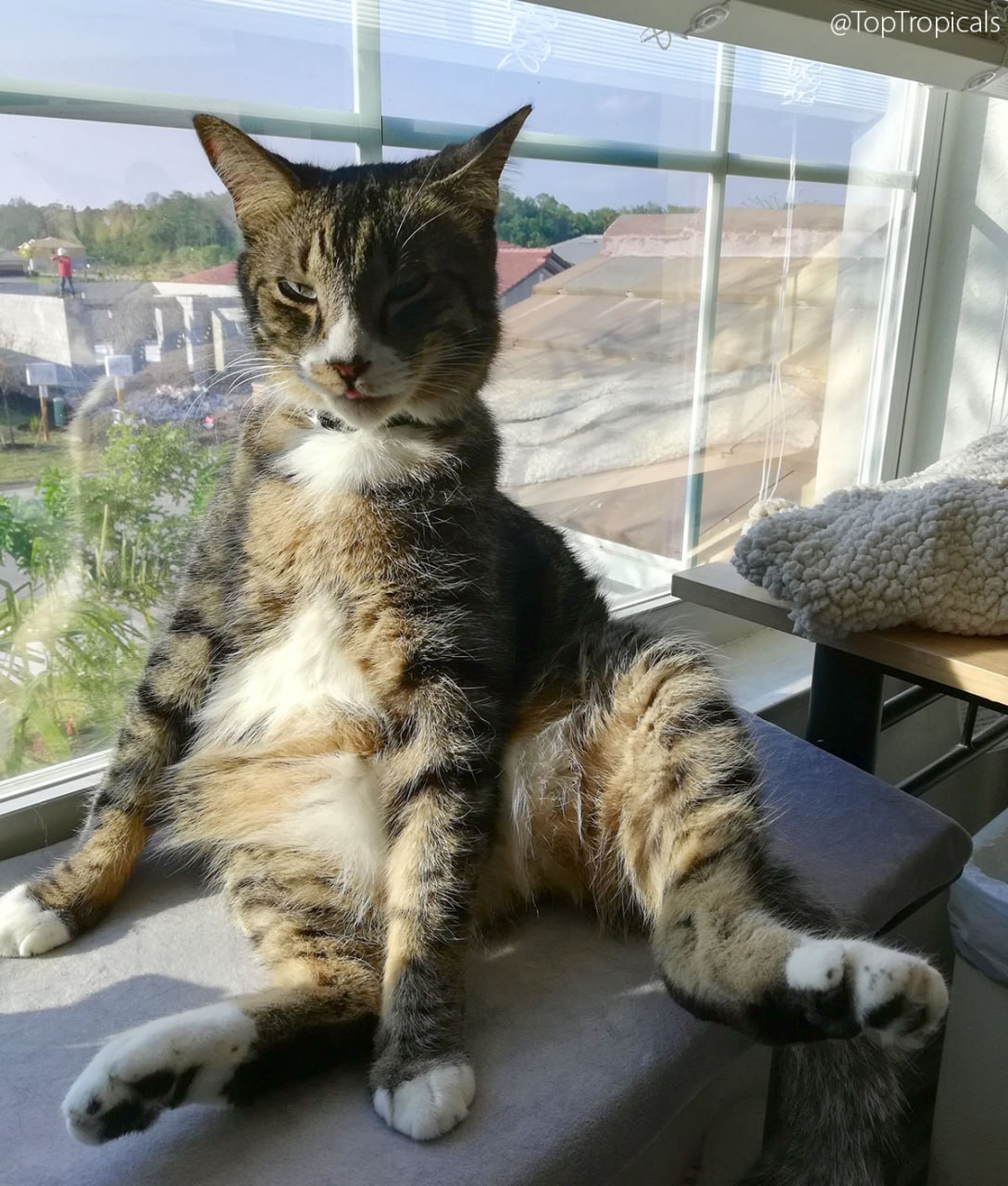 I love Fridays! I love Fridays!