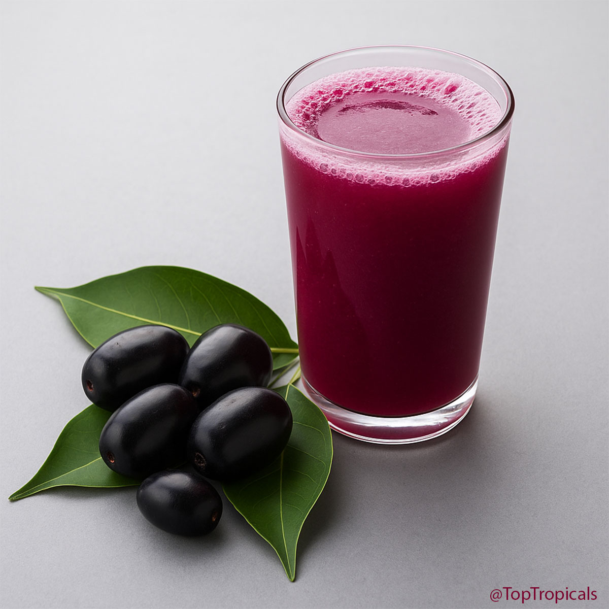 Java plum cooler Java plum cooler