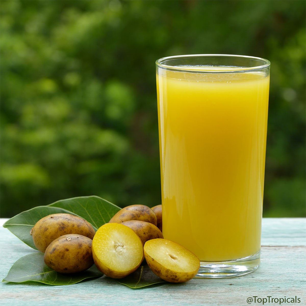 June plum juice June plum juice