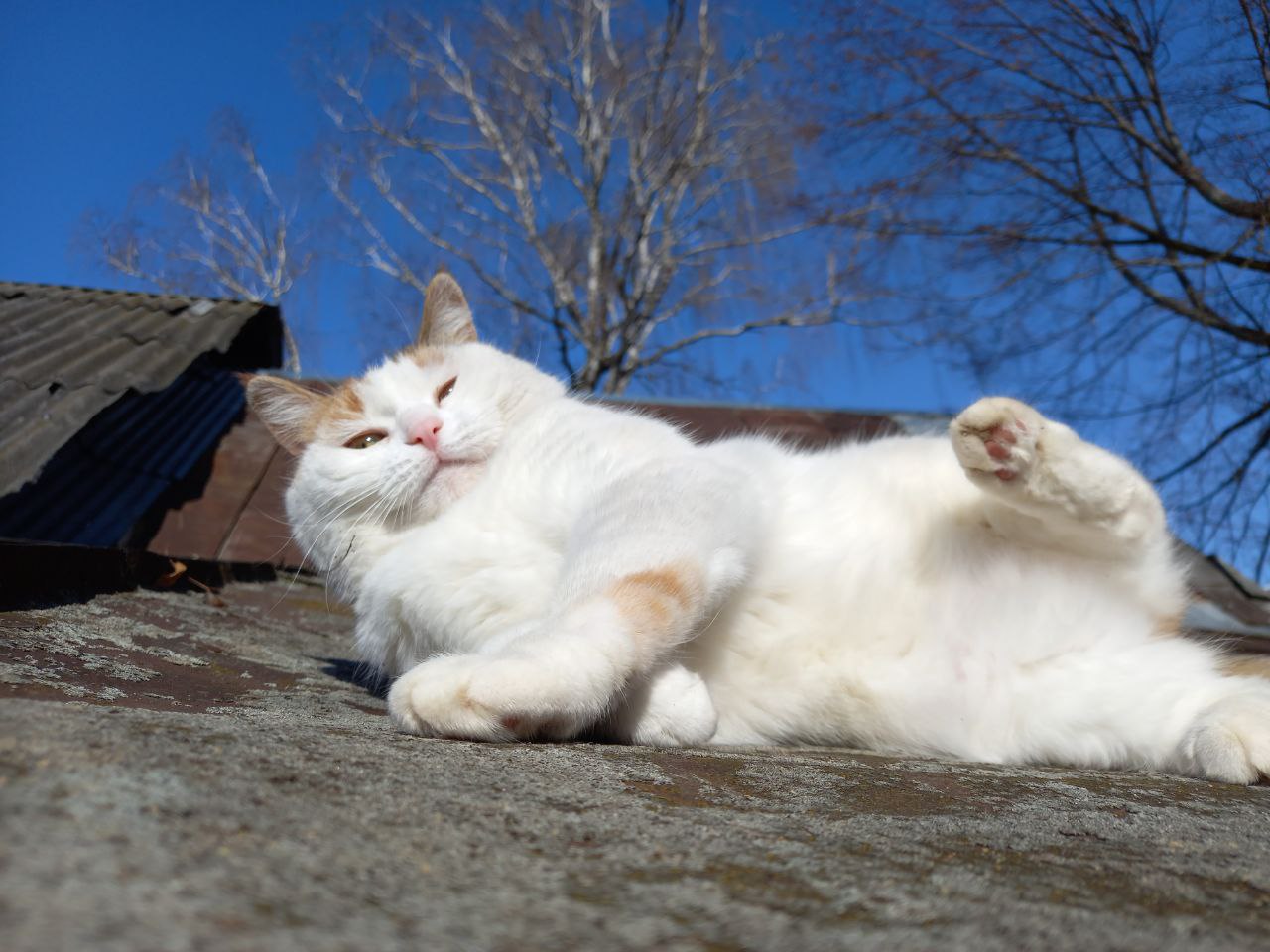 Greetings from outside of Tropics: Masyanya Greetings from outside of Tropics: Masyanya