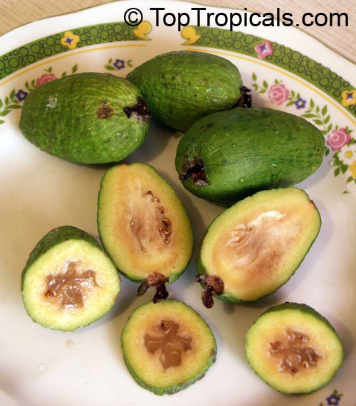 Pineapple guava fruit Pineapple guava fruit