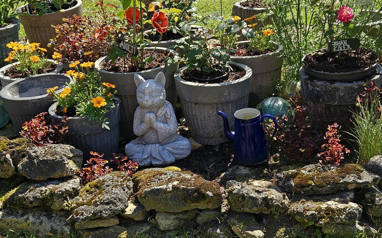 Happy New Year, fellow gardeners! Happy New Year, fellow gardeners!