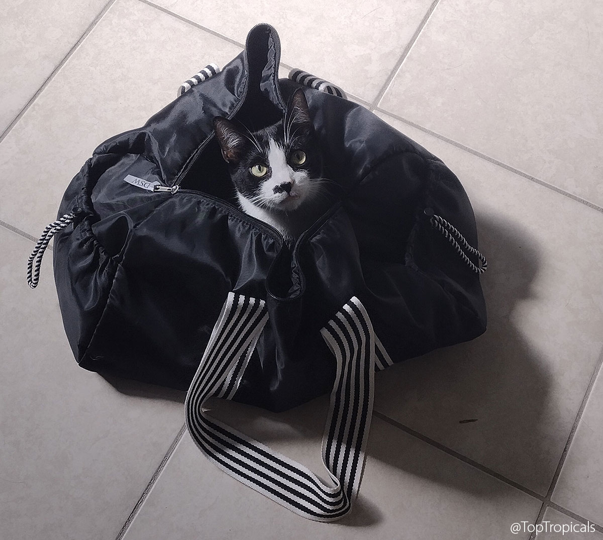 No fixed plans! No fixed plans!