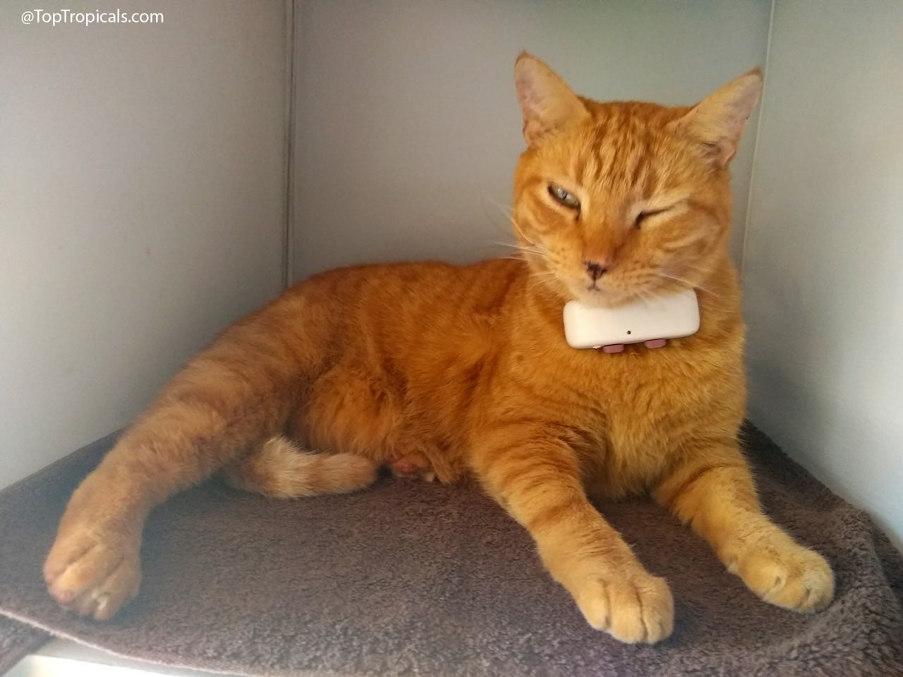 He knows everything He knows everything