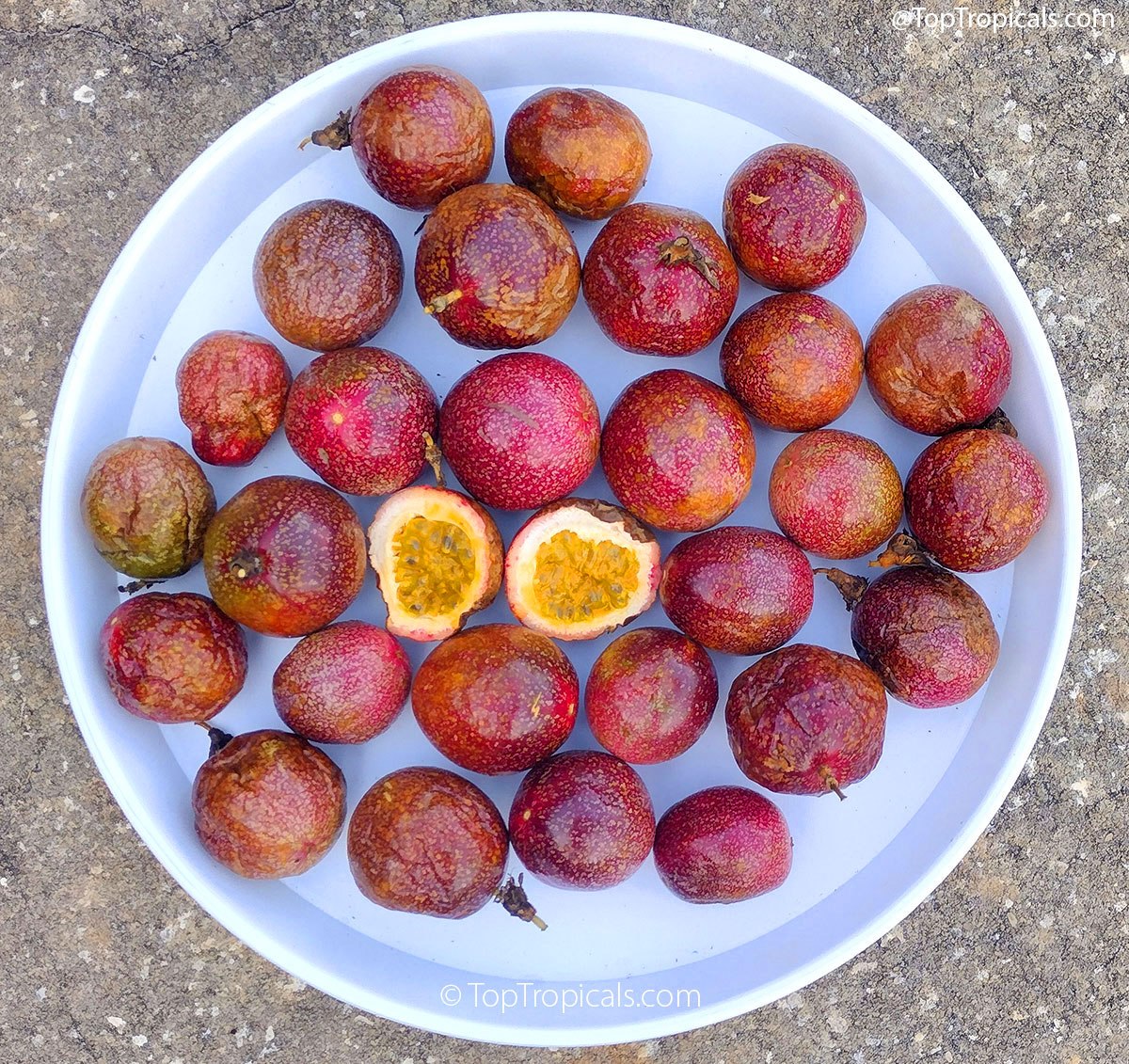Passion fruit baked yogurt Passion fruit baked yogurt