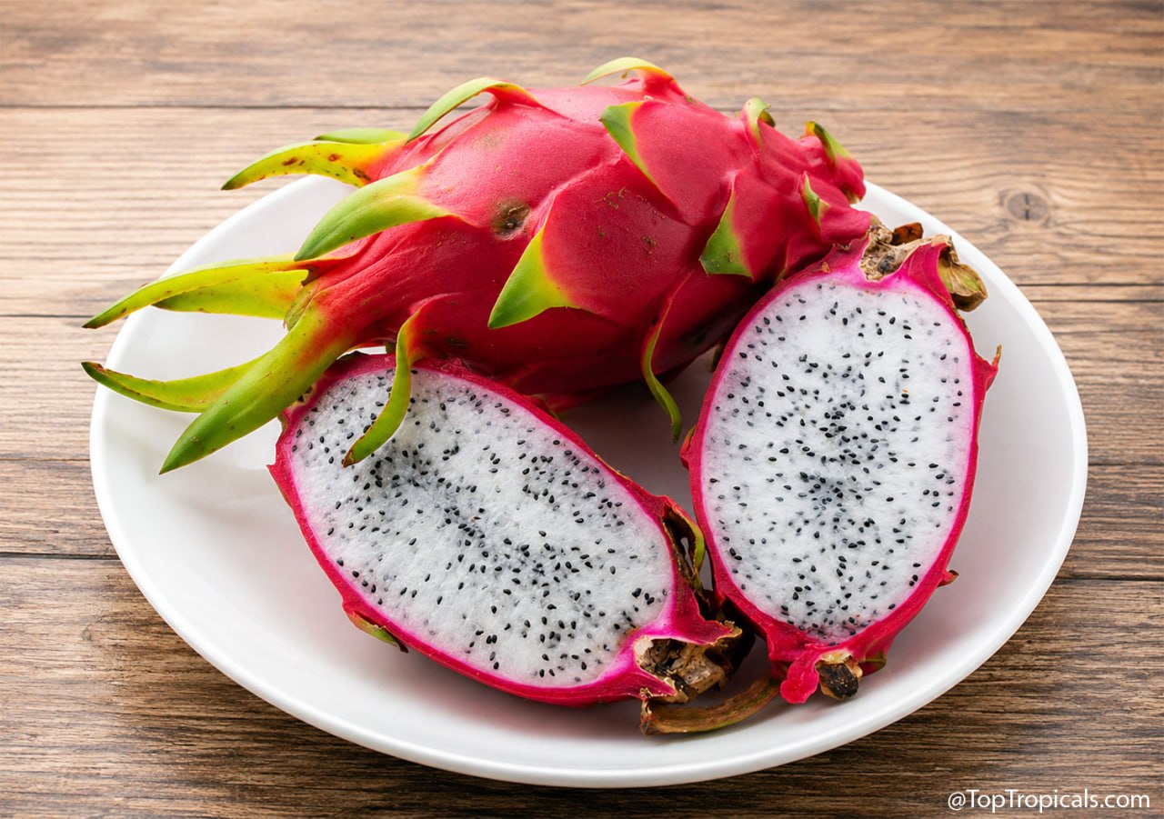 Pitaya David Bowie: Dragon Fruit Beyond Pink and White - A Collectors Guide Pitaya David Bowie: Dragon Fruit Beyond Pink and White - A Collectors Guide
