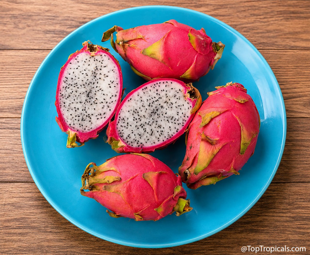 Pitaya Hana: dragon fruit beyond pink and white - A Collectors Guide Pitaya Hana: dragon fruit beyond pink and white - A Collectors Guide