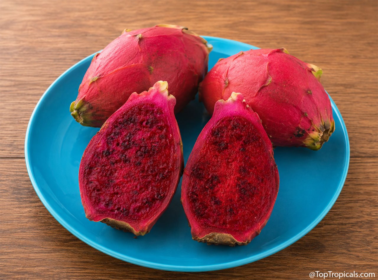 Pitaya Sweet Red: dragon fruit beyond pink and white - A Collectors Guide Pitaya Sweet Red: dragon fruit beyond pink and white - A Collectors Guide