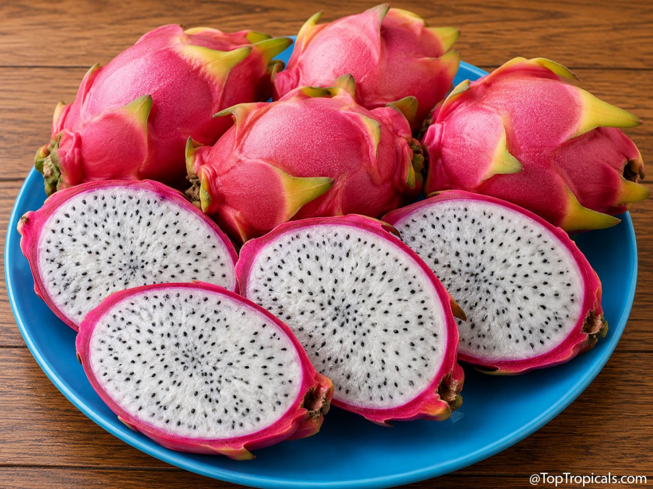 Pitaya Vietnamese Jaina White: dragon fruit beyond pink and white - A Collectors Guide Pitaya Vietnamese Jaina White: dragon fruit beyond pink and white - A Collectors Guide