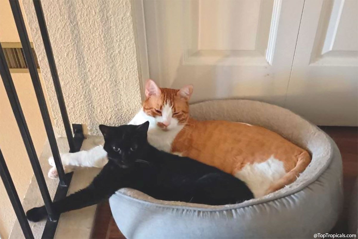 The best place to sleep The best place to sleep