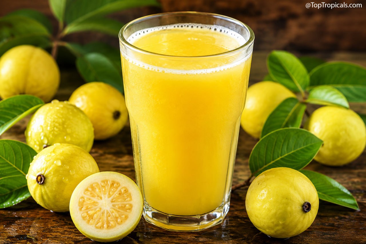 The Zero-Sugar Fruit Behind Costa Ricas Favorite Summer Drink Agua de Cas: Cas Guava The Zero-Sugar Fruit Behind Costa Ricas Favorite Summer Drink Agua de Cas: Cas Guava