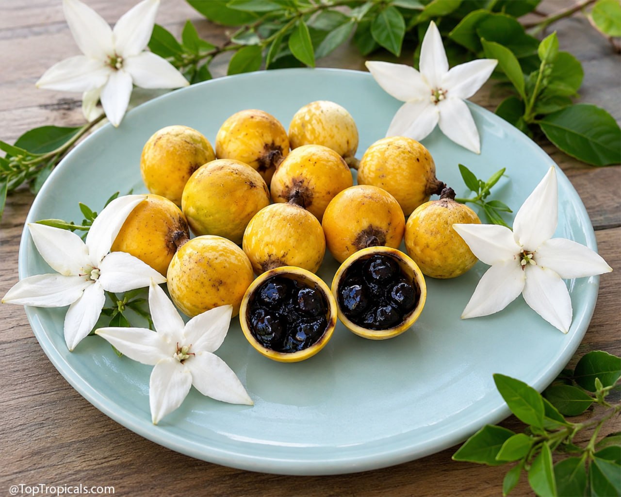 The Patio Gardenia That Grows Fresh Blackberry Jam The Patio Gardenia That Grows Fresh Blackberry Jam