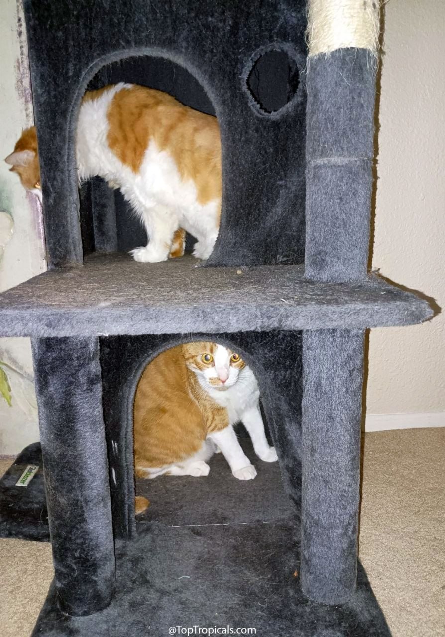 Which one is Jim and which one is Jacques? Which one is Jim and which one is Jacques?
