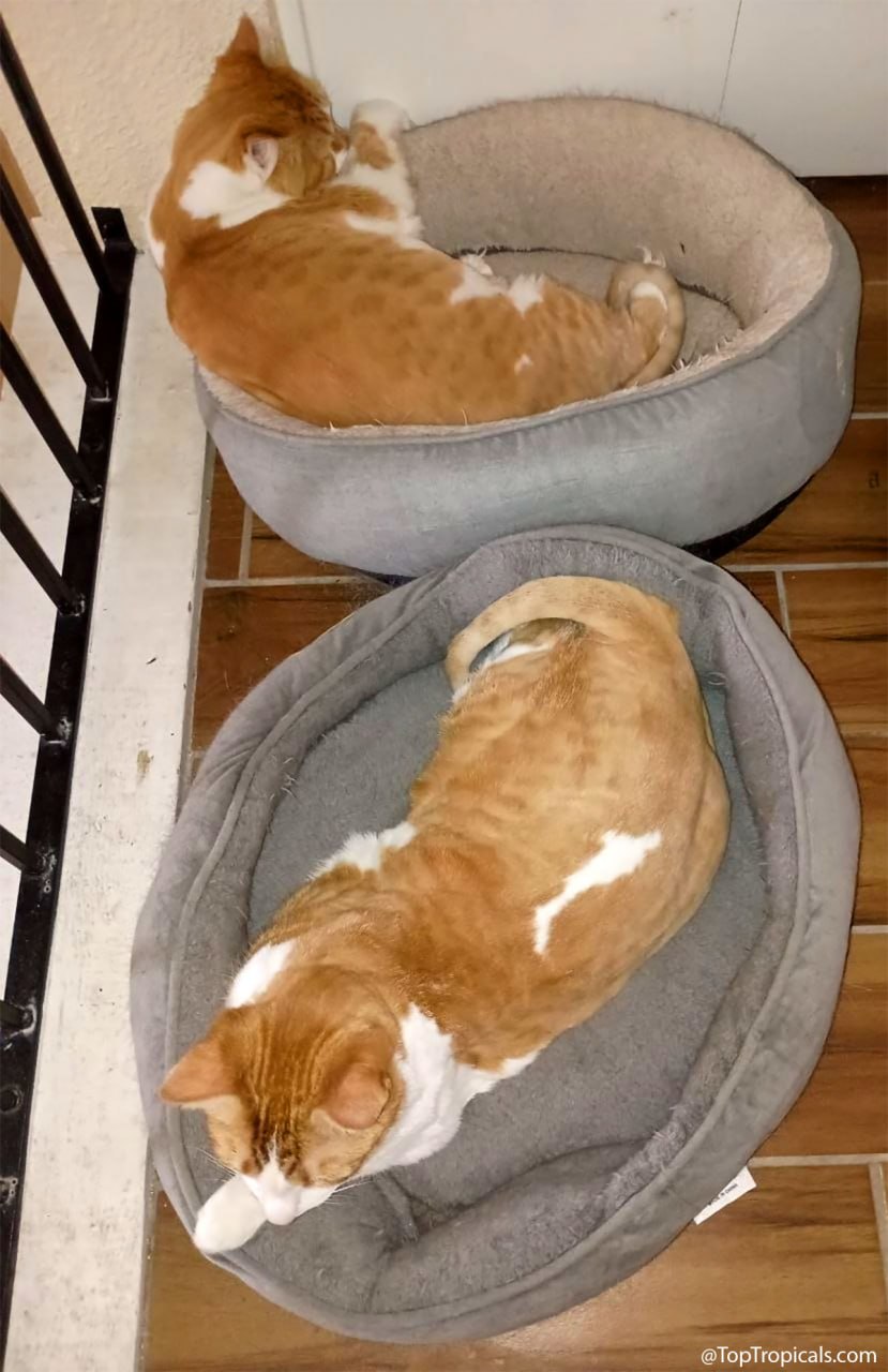 Which one is Jim and which one is Jacques? Which one is Jim and which one is Jacques?