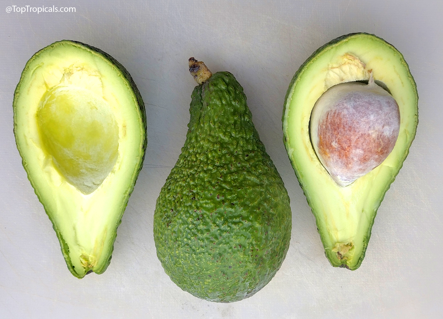Whole green Tonnage avocado fruit alongside two cut halves showing creamy yellow-green flesh and the seed