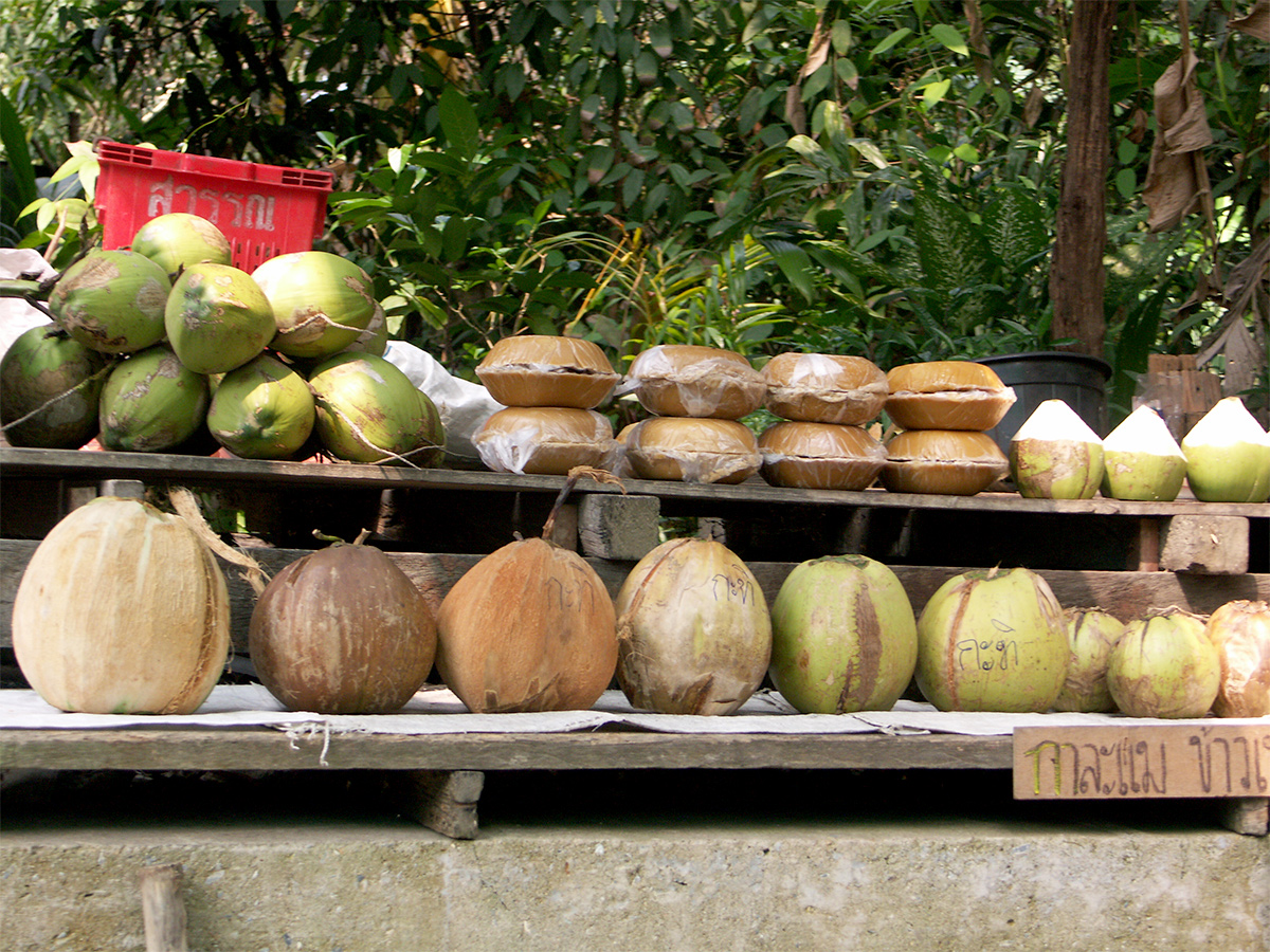 Fresh coconuts and coconut products at an Asian fruit market