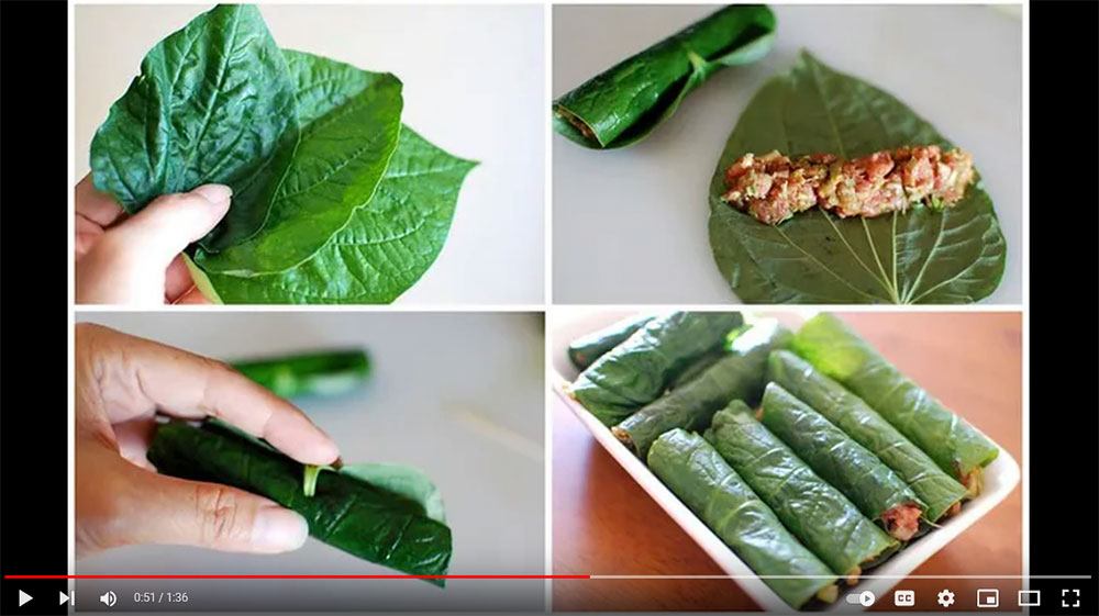 Vietnamese Pepper - Lalot video