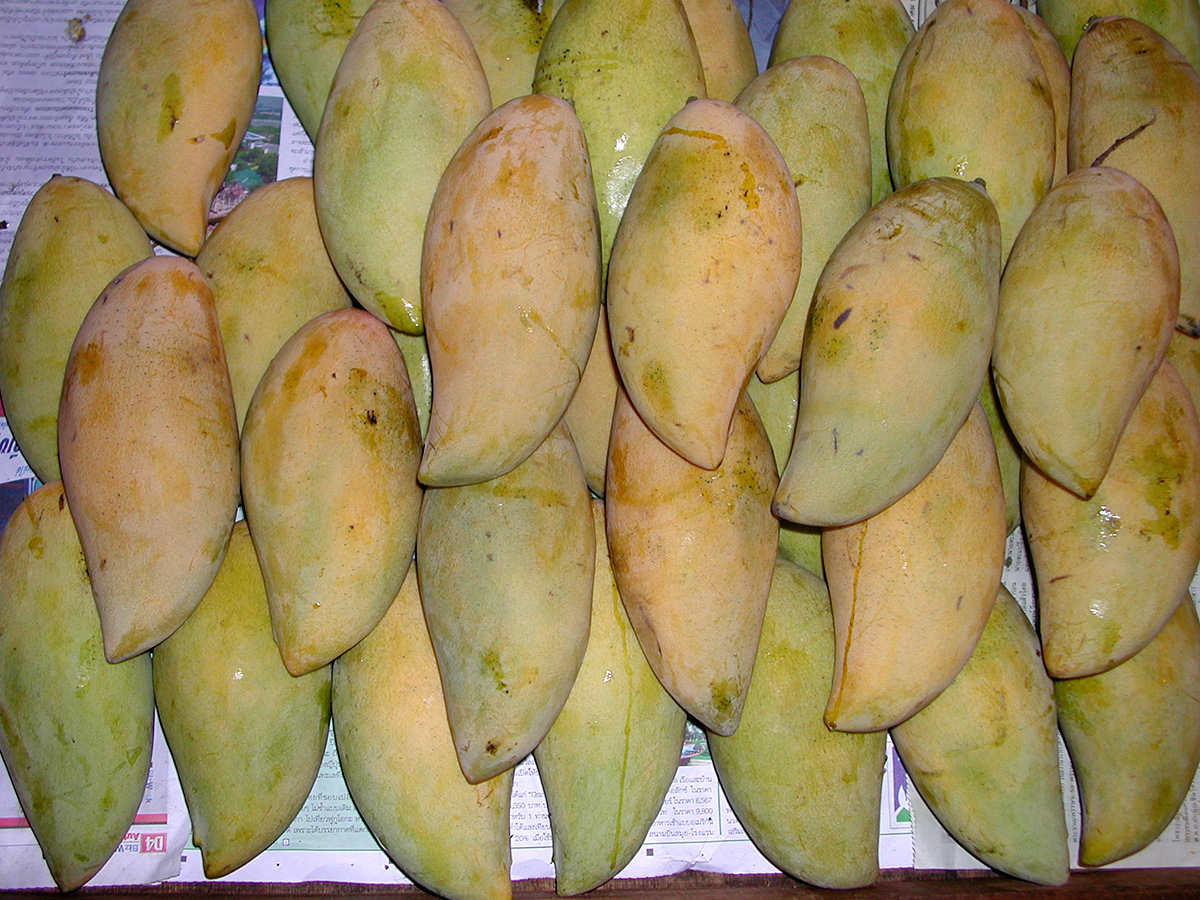 Fresh mangoes displayed at an Asian fruit market