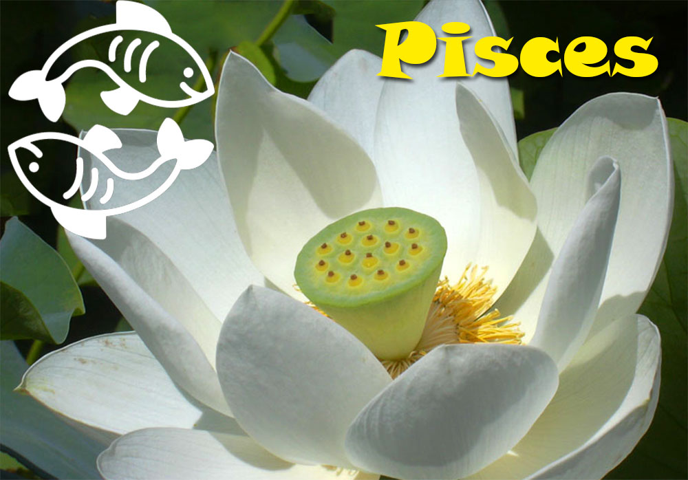 Pisces lucky Zodiac plant