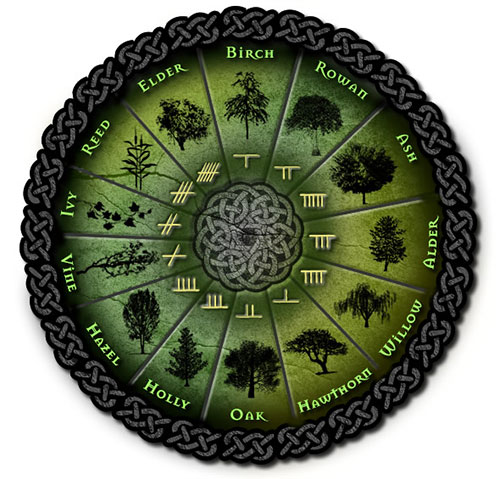 Plant Horoscope and Lucky Zodiac Plants