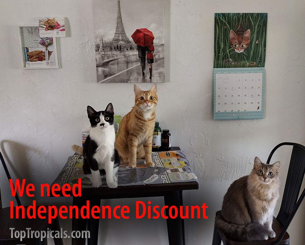 Independence discount