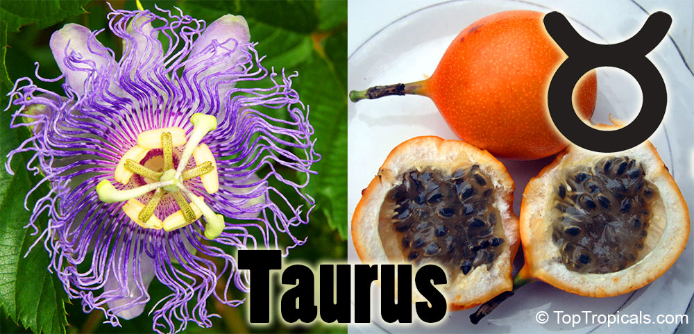 Taurus lucky Zodiac plants