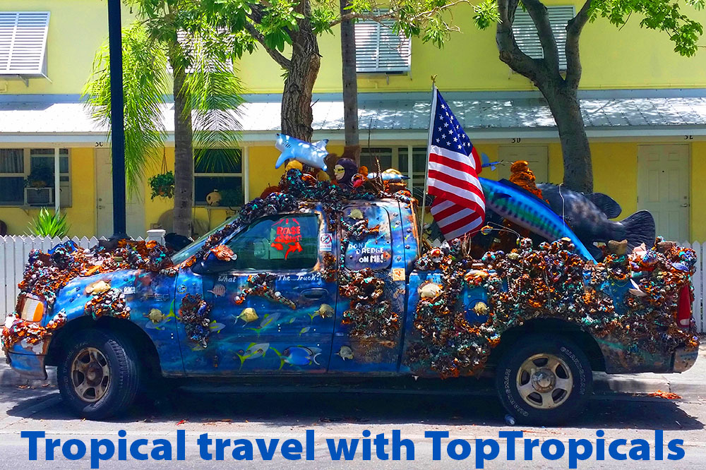 TopTropicals.com
