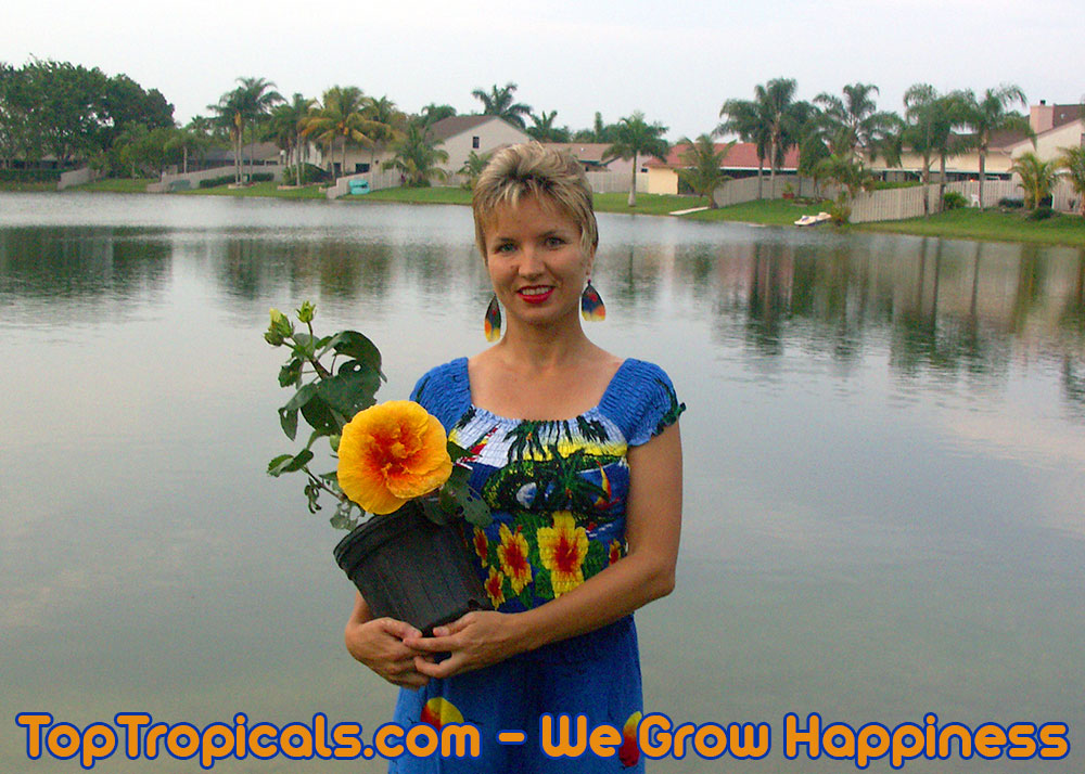 TopTropicals.com