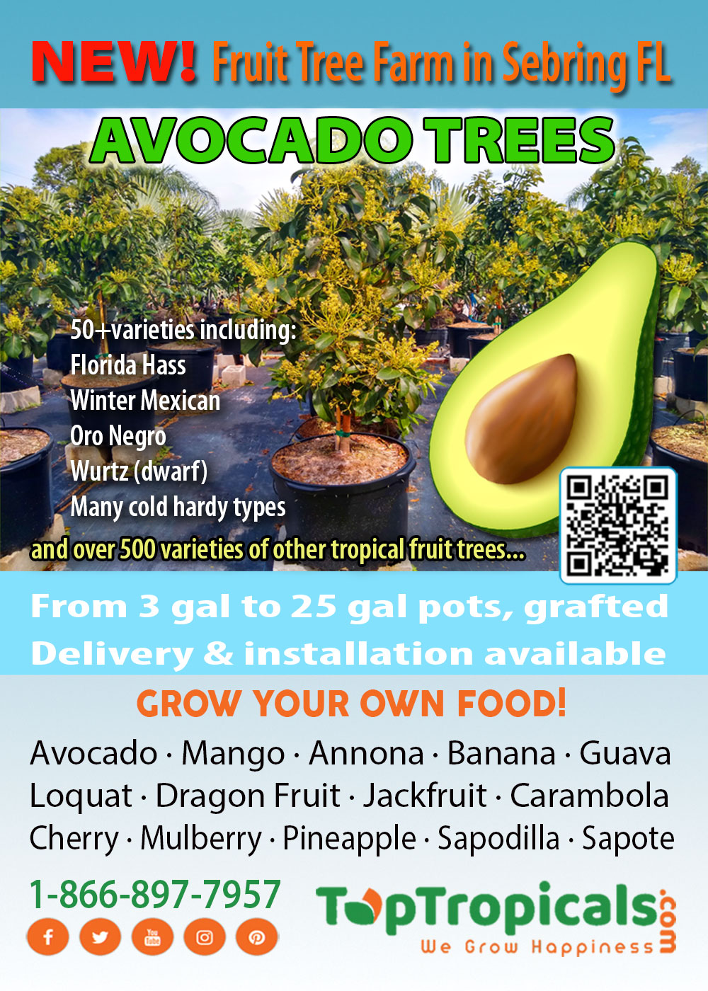 B-Farm Avocado specials