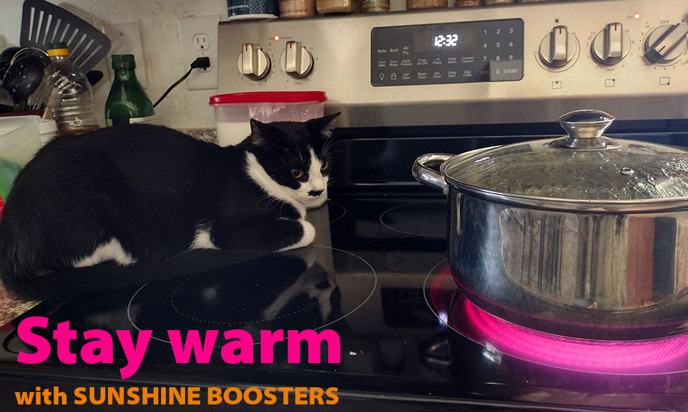 Cat staying warm on a stove