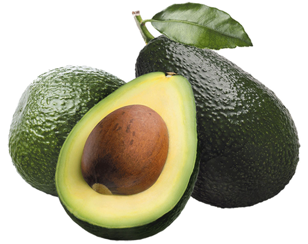 Avocado fruit