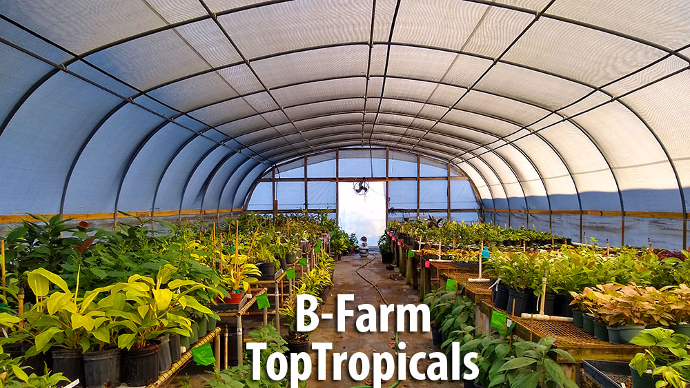 Top Tropicals B-Farm