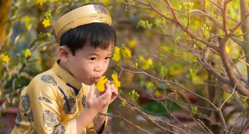 Vietnamese boy with Hoa Mai Mickey Mouse plant
