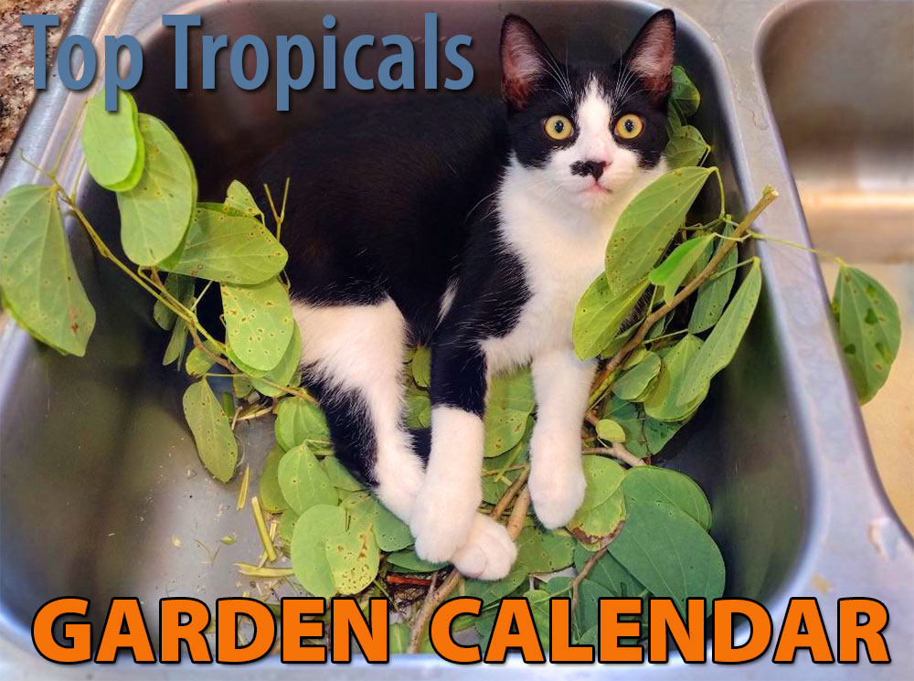 Philly's garden calendar