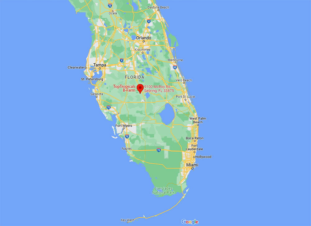 Top Tropicals B-Farm in Google Maps