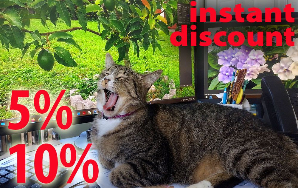 instant discount with cat in front of monitor