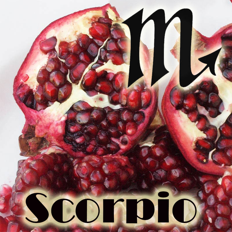 Zodiac lucky plant - Scorpio - Pomegranate (Punica granatum)