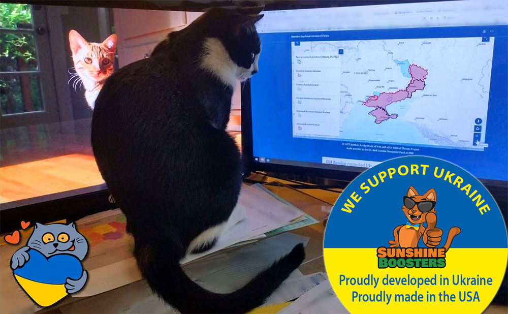Cat watching map of Ukraine on monitor
