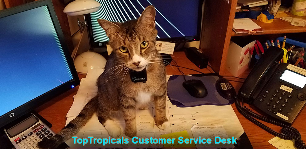 Top Tropicals Customer Service Desk