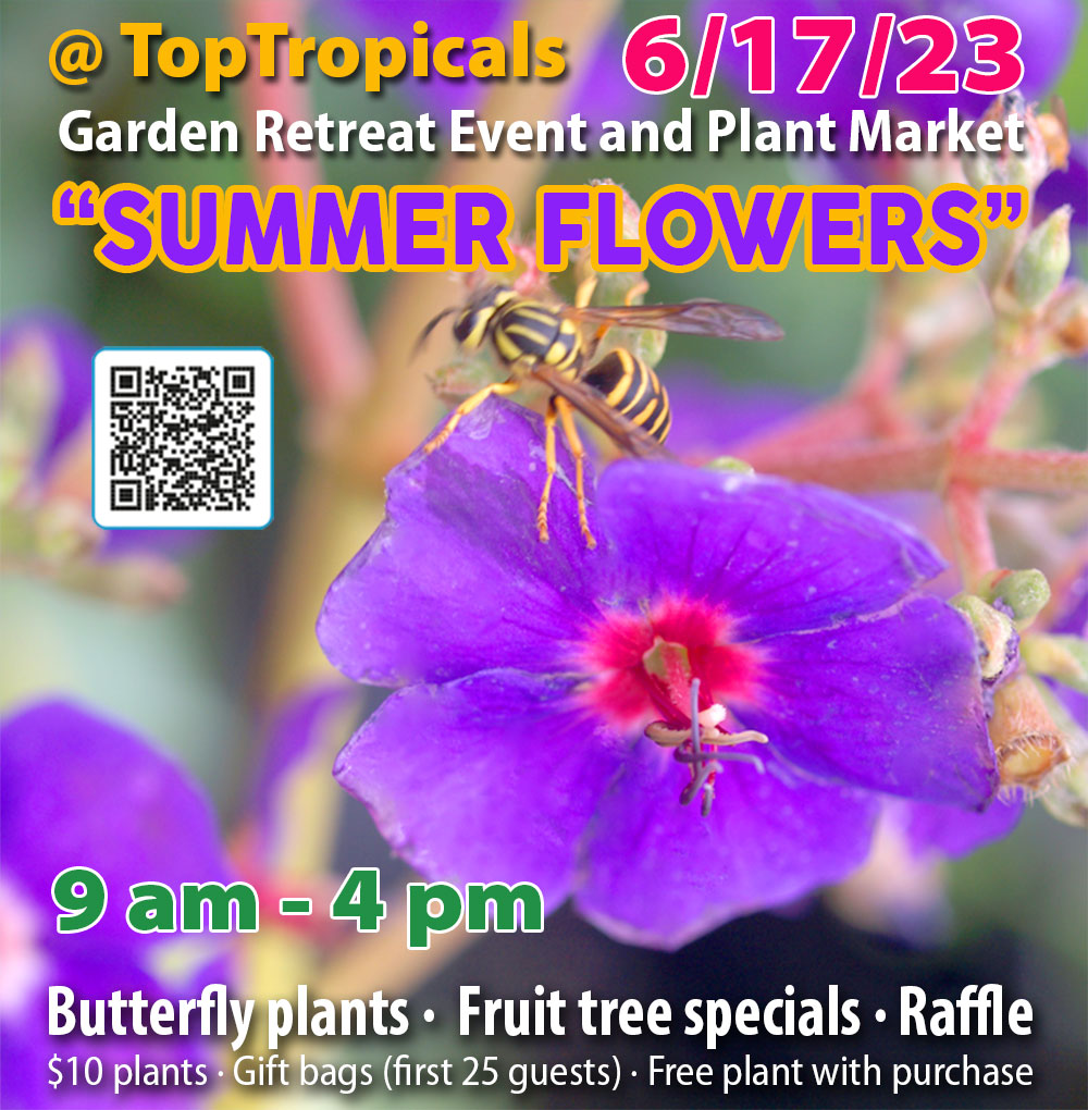 Summer Flowers Plant Market at Top Tropicals