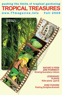 Tropical Treasures Magazine - 7 (Fall-2008) - PDF file download 