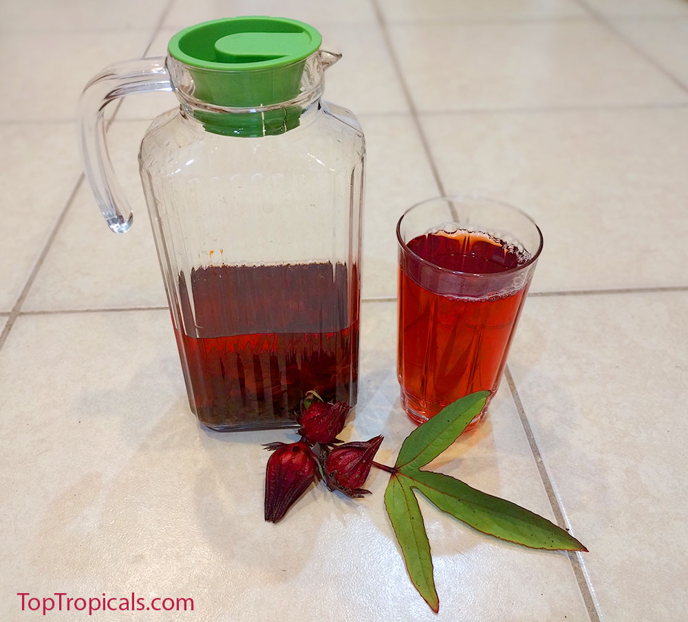 Hibiscus tea Karkade