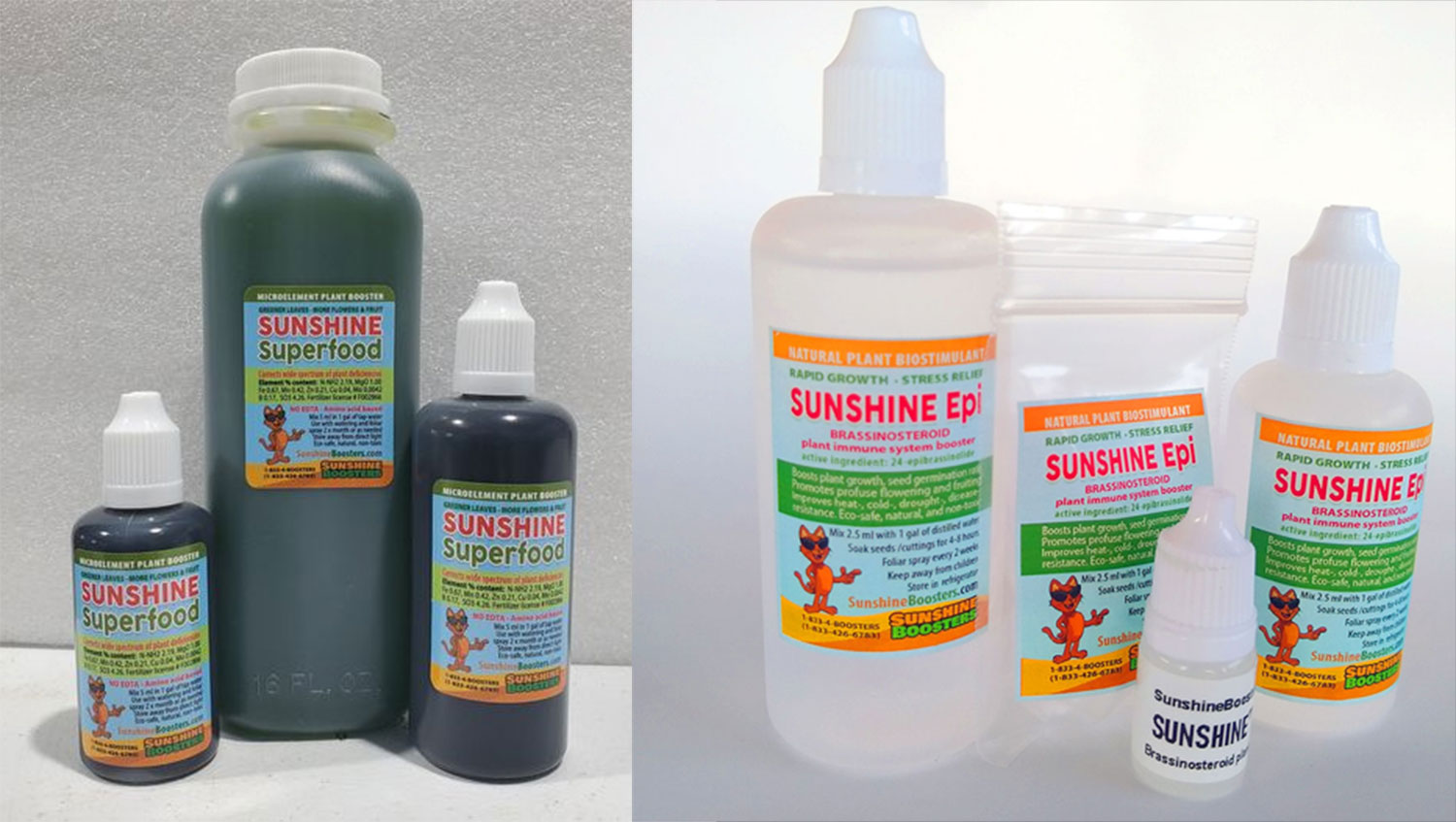 Sunshine Superfood and Epi