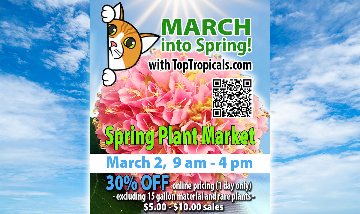 March 2, 2024 - SATURDAY - Spring Plant Market: March into Spring!